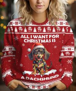All I Want for Christmas is a Dachshund